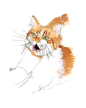 Load image into Gallery viewer, Screaming Cat - LA art print by MisterOsborne
